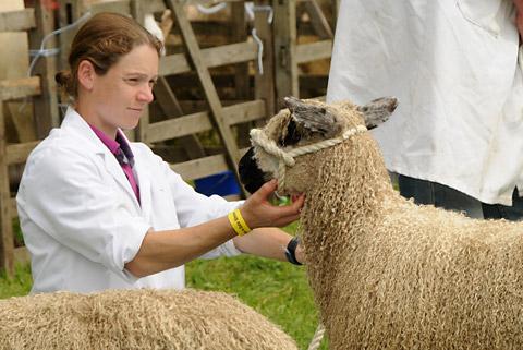 Thornton-Le-Dale Show picture gallery