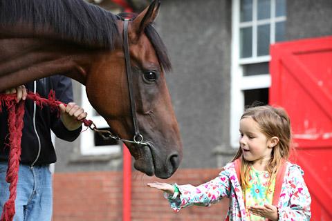 Five year old Fiona gives Royal Bonsai a polo mint at Highfield Stables at Malton Stables Open Day. 