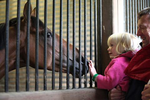 Three year old Jessica says hello to a racehorse at John Quinn's Highfield Stables at Malton Stables Open Day. 