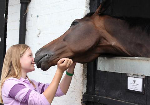 A visitor says hello to Its A Man's World at Brian Ellison's stables in Malton.