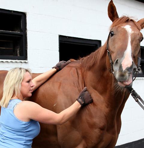 Vicky Easterby, an equine physiotherapist who gave a demonstration at Brian Ellison's stables