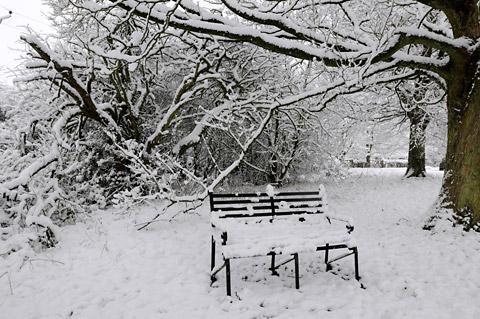 Snow scene at Cropton 