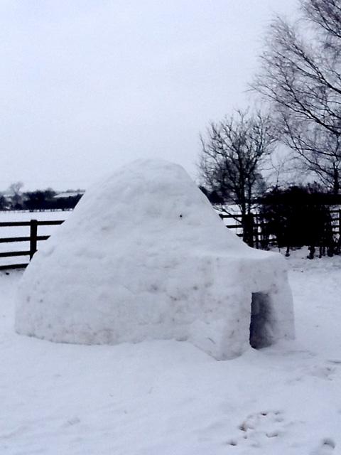 Igloo built by the gang at Keld Head Farm Cottage, Pickering.