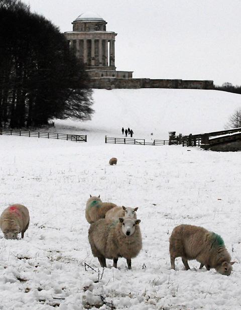 Sheep and walkers pictured on the snow covered fields near the Mausoleum at Castle Howard