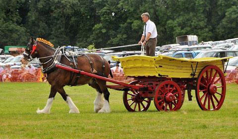 Ryedale Show picture gallery