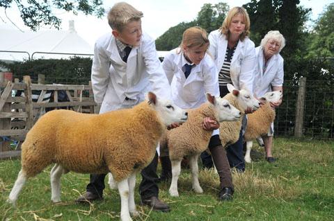  Thornton-le-Dale Show picture gallery