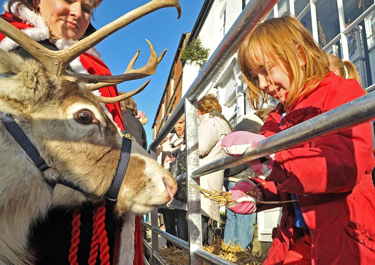 A youngster gets to know reindeer Comet from York Wonderland at Kirkbymoorside Christmas Market