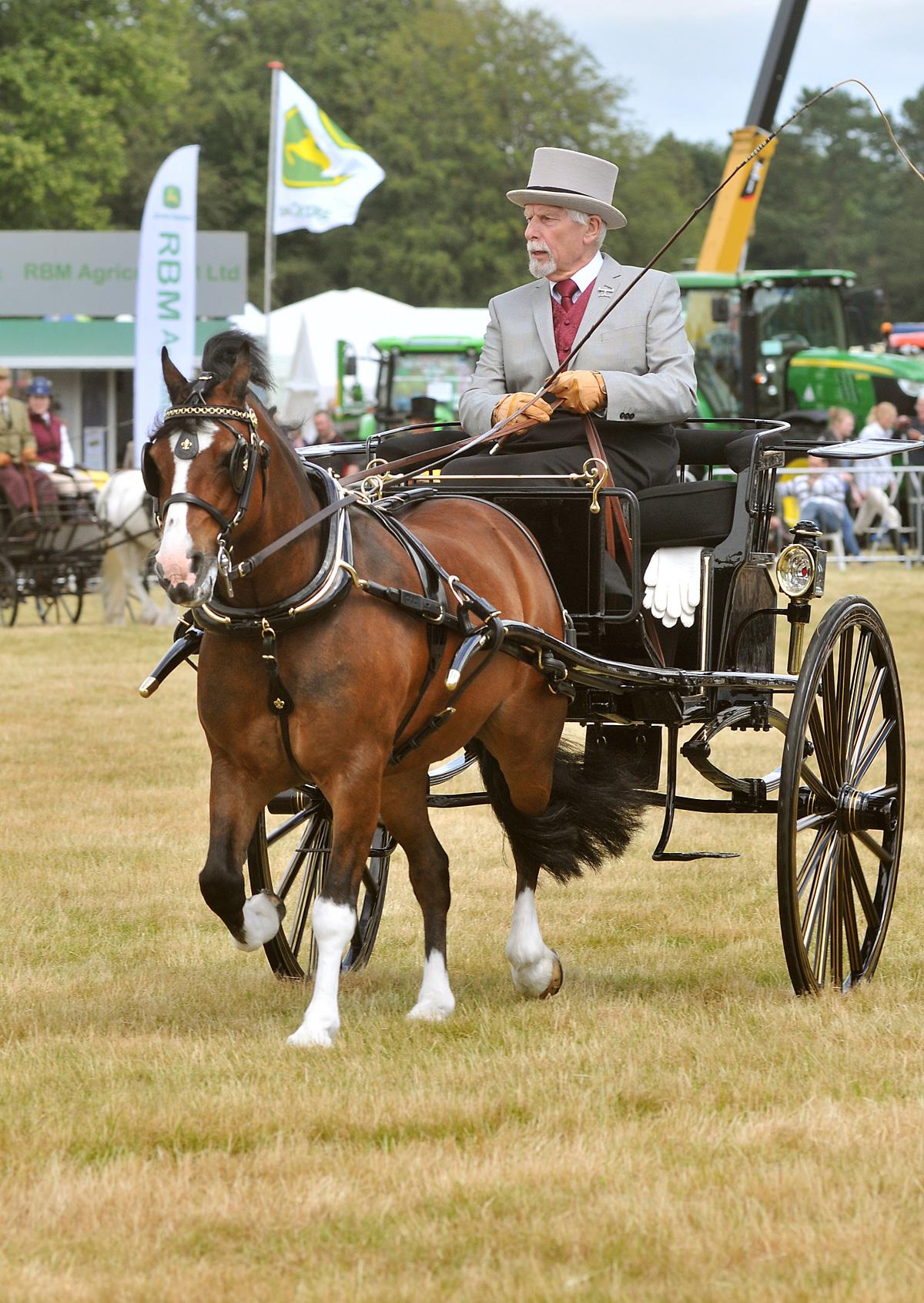 Images from Malton Show 2014