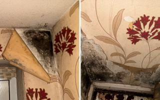 Jane Walker claims mould has been building up in her home for more than 14 years