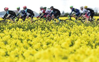The peloton makes it way through the Yorkshire countryside during last year's Tour de Yorkshire. Picture: Alex Broadway/SWpix.com