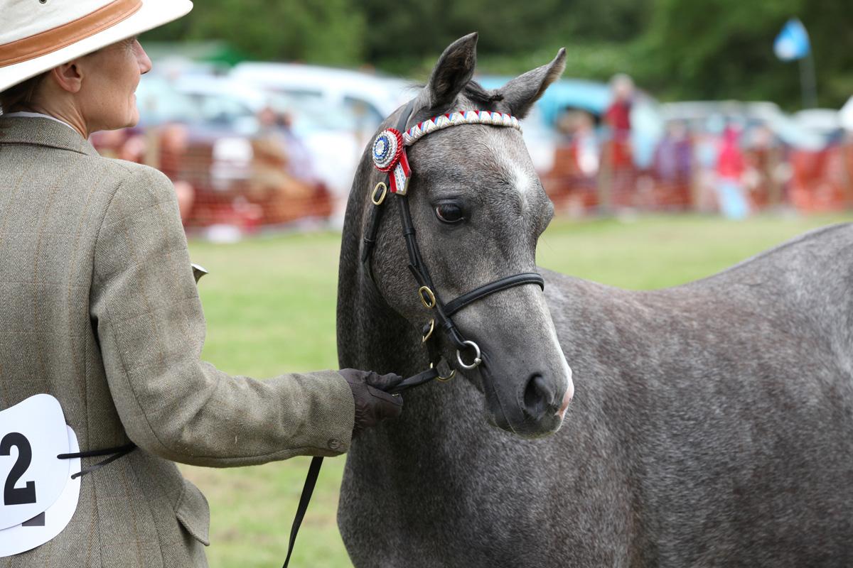 Images from Rosedale Show 2014