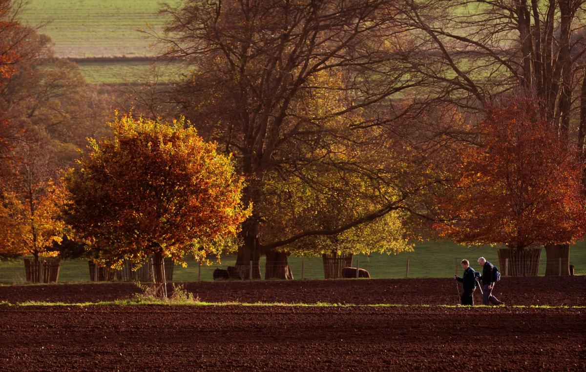 Two ramblers make the most of the autumn sun, walking in fields near Hovingham Hall.
Picture: Mike Tipping