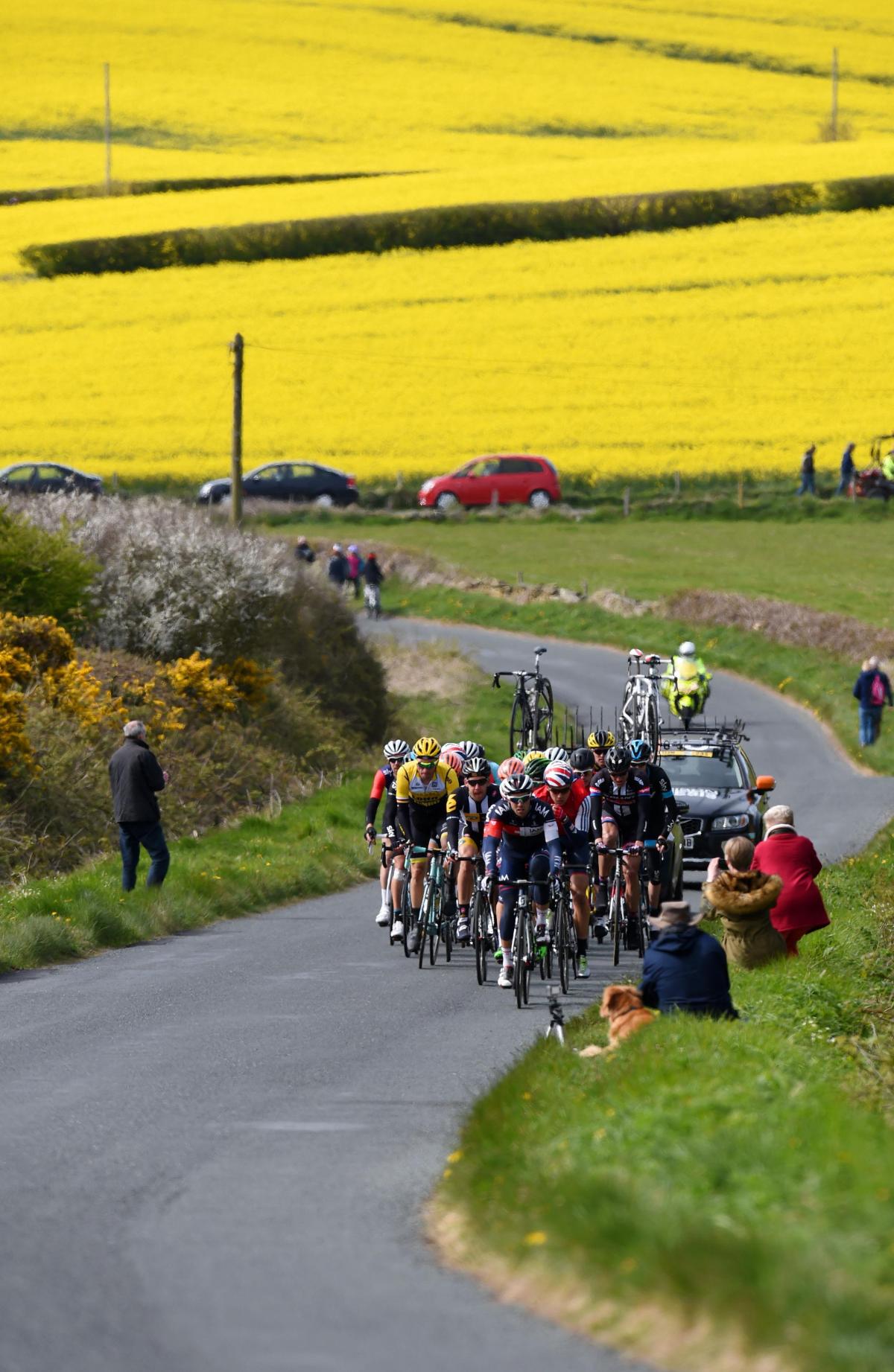 The Peloton ride up Hawsker Lane, Whitby, during the Tour de Yorkshire between Bridlington and Scarborough.  Photo: Owen Humphreys/PA Wire