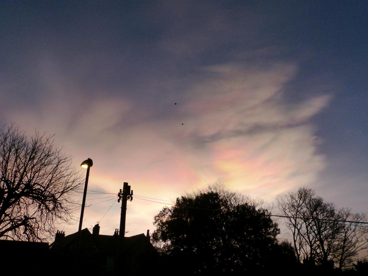 Nick Fletcher's picture of nacreous clouds above Malton