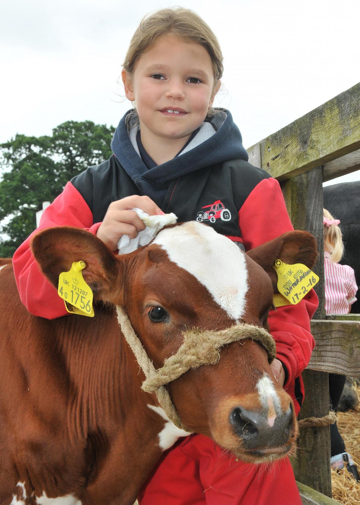 Ryedale Show 2016