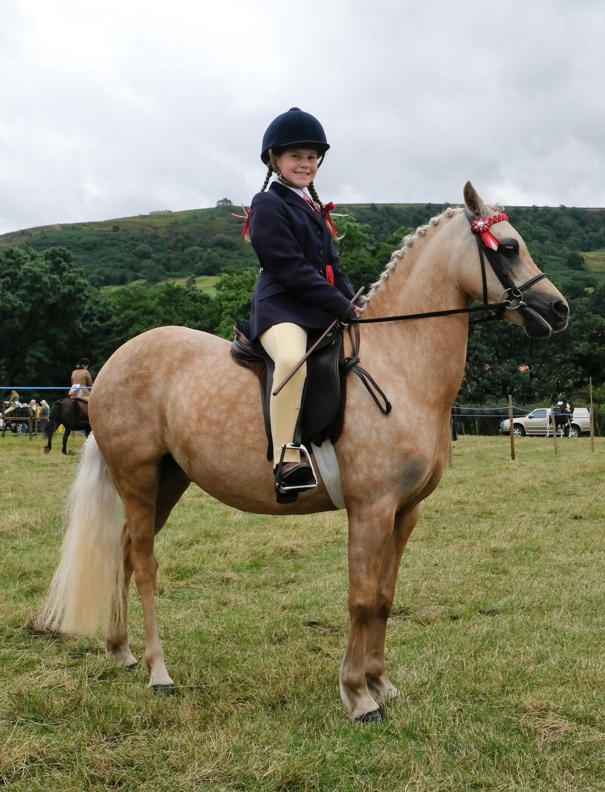 Rosedale Show  Picture: Ian Forsyth