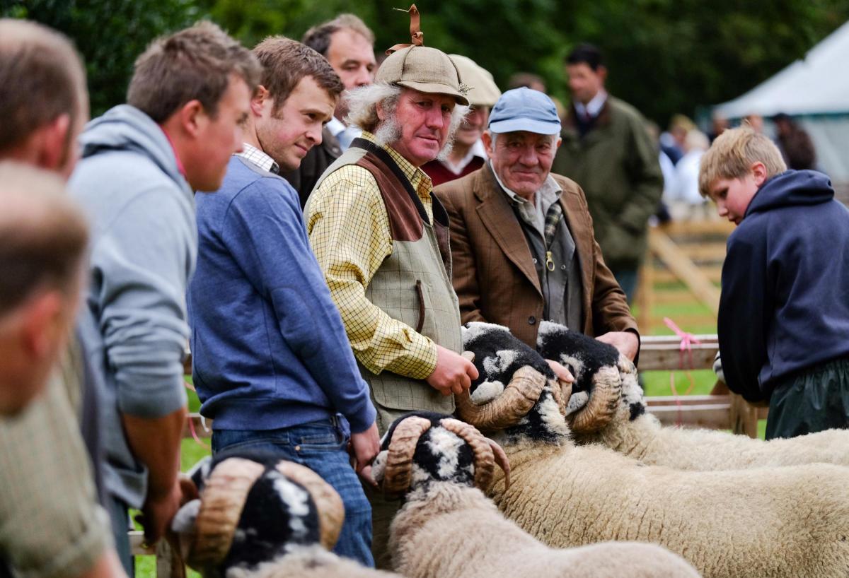 Rosedale Show  Picture: Ian Forsyth