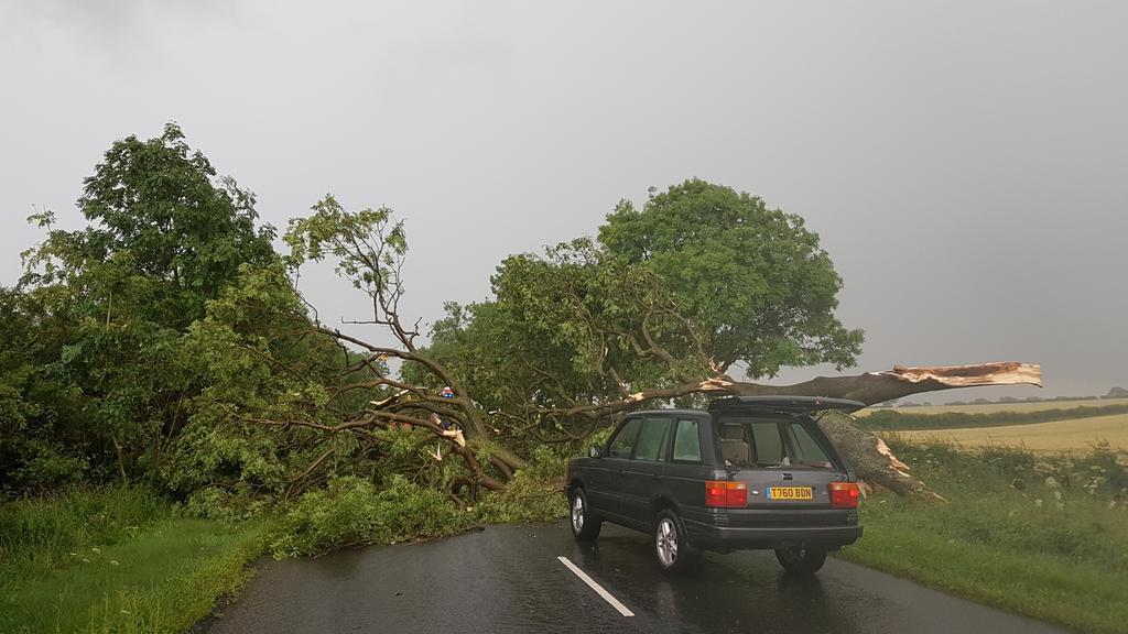 A fallen tree blocking the road near Langton - photo@northyorkswx