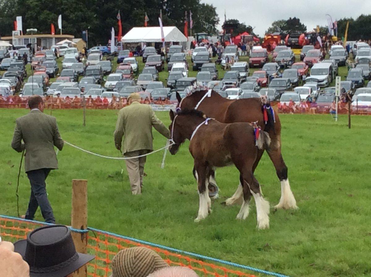 Ryedale Show 2017  Picture: Visit Yorkshire‏