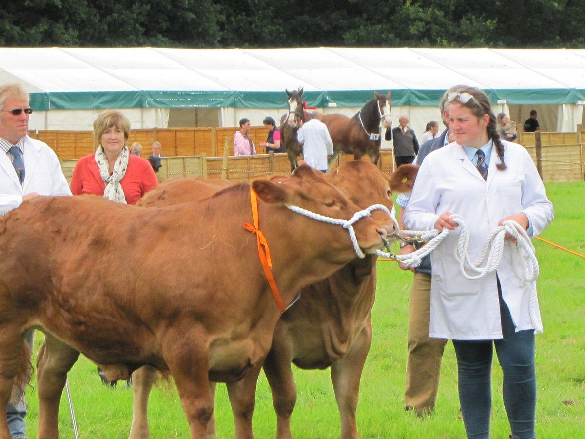 Ryedale Show 2017  Picture: Visit Yorkshire‏