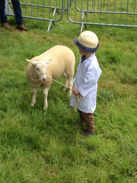 Ryedale Show 2017 Picture: Tourism Association North Yorkshire (TANY)