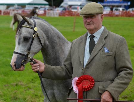 George Miller with his two year old winning the Welsh Section B class - Laithehill Scoundrel Pic Sue Church