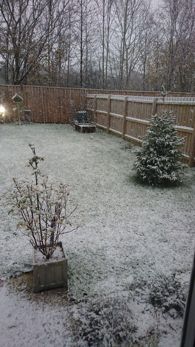 Snow in Norton. Picture: Sarah Cooper