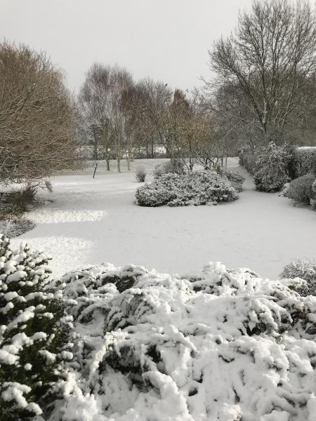 Snow in Normanby Picture: Dawn Morton