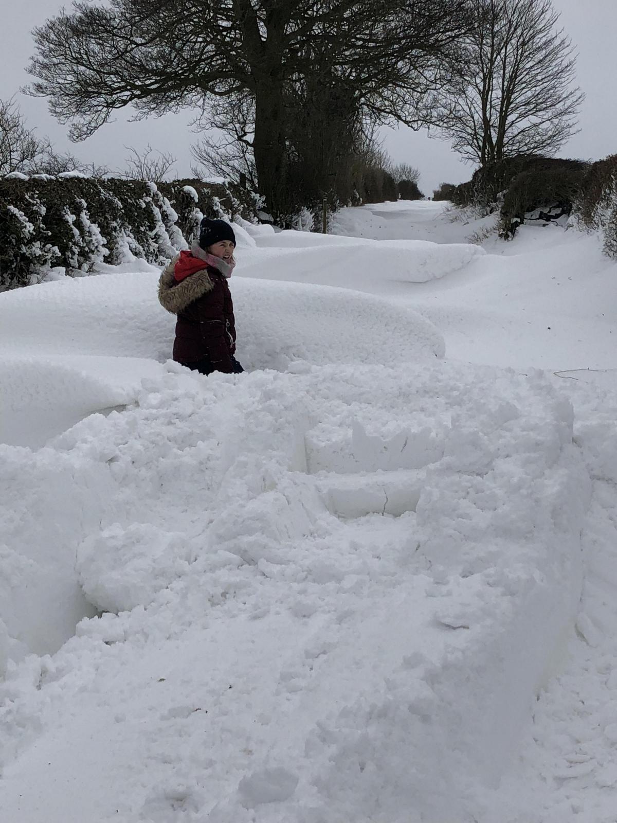 Snow drifts in Lockton Matilda Gledhill age 12 with her dog Rosie  Picture by Jane Gledhill