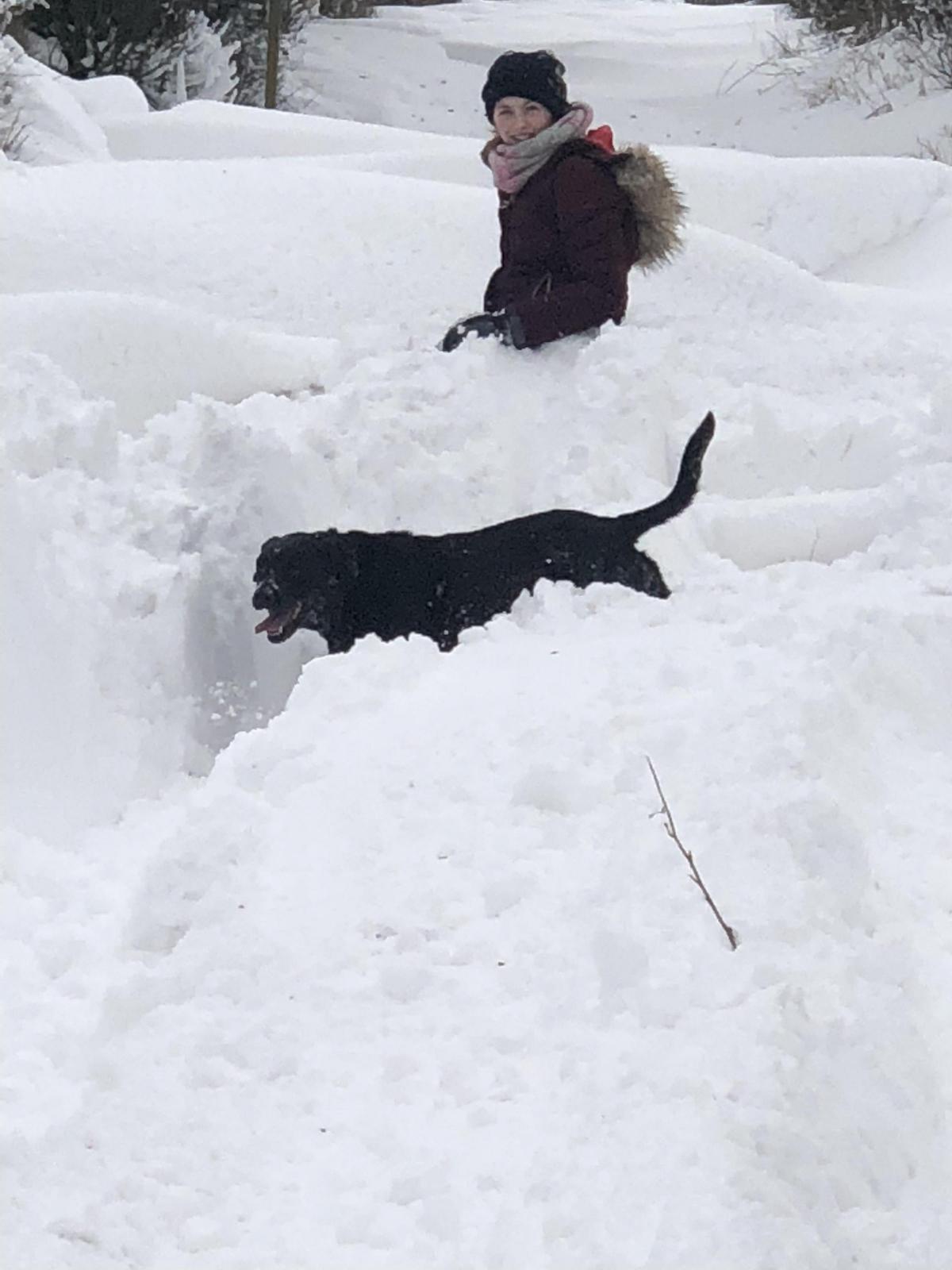 Snow drifts in Lockton Matilda Gledhill age 12 with her dog Rosie  Picture by Jane Gledhill