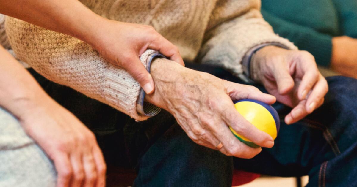 Care home opens its doors for family fete in aid of Malton hospital