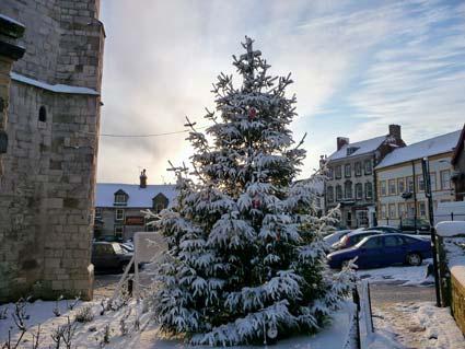 The Christmas Tree in Malton Market Place. Picture by Nick Fletcher.