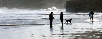 Surfers chat with a dog walker on Scarborough beach. Picture by Fiona Croft.