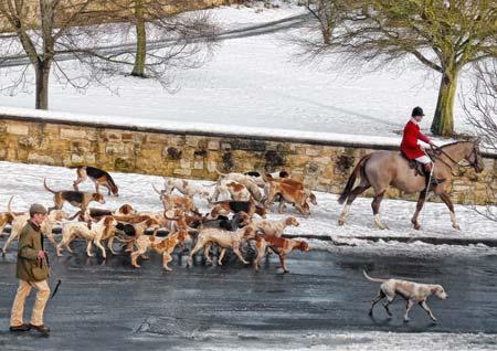 Boxing Day hunt at Malton. Picture by Graham Piercy. 