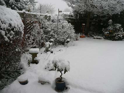 Snow scene by Sue Gabbatiss. 