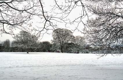 Snow on Orchard Fields by Graham Piercy.