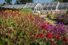 The hot border at Helmsley Walled Garden brings a splash of colour to a difficult year    Picture: Colin Dilcock