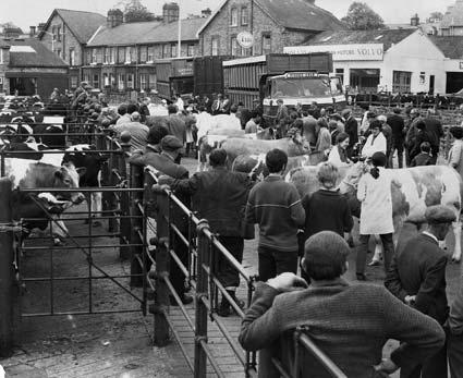 Malton cattle market in 1973.