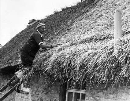 Seth Eccles combs the straw down to the eaves while thatching Pockley Post Office in 1971.