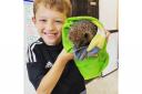 Reece Johnson with one of the four baby hedgehogs he helped rescued, two of which have now been returned to a supported garden
