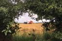 Framed through the hedge, combine, tractor and trailer! Taken at Allerston by Jenny stead