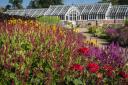 The hot border at Helmsley Walled Garden brings a splash of colour to a difficult year    Picture: Colin Dilcock