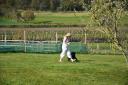Jess Corton with Luna at the dog field at Cedarbarn Farm Shop in Pickering