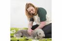 Freya Mansell, owner of Yorkshire Canine Massage