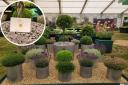 Beech Tree Farm Plants were awarded a gold medal for their display at the RHS Hampton Court Palace Garden Festival in Surrey