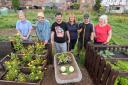 Participants in the Land to Plate scheme working on the allotment.