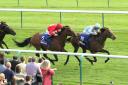 The David O’Meara-trained G Force, pictured winning the Group 1 Betfred Sprint Cup last season, will be back at Haydock on Saturday for the Group 2 Temple Stakes