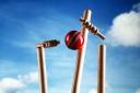 Cricket wicket generic