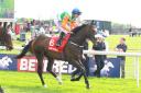 Forest Ranger went close at York on last outing