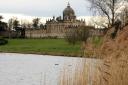 Spring arrives at Castle Howard     Picture: Colin Douthwaite.